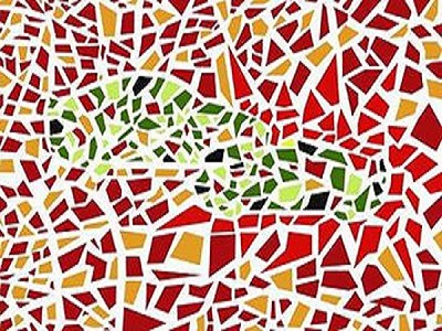  p>红绿色盲(daltonism, red-green colorblindness, )是部分 a href=