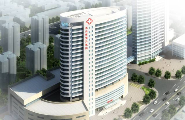武汉市三医院