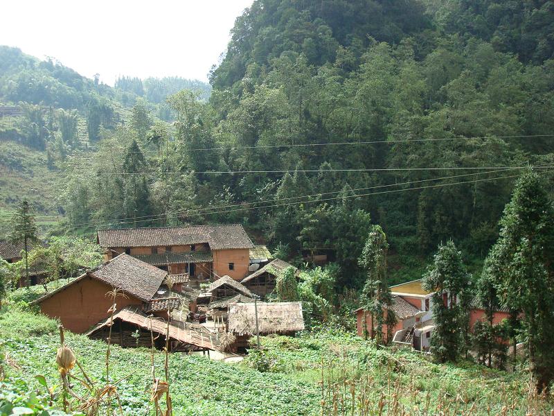  p>楼梯自然村,隶属于云南省文山壮族苗族自治州麻栗坡县铁厂乡普龙