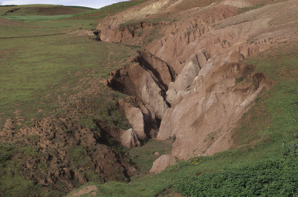  p>沟蚀(gully erosion)全称"沟谷侵蚀".