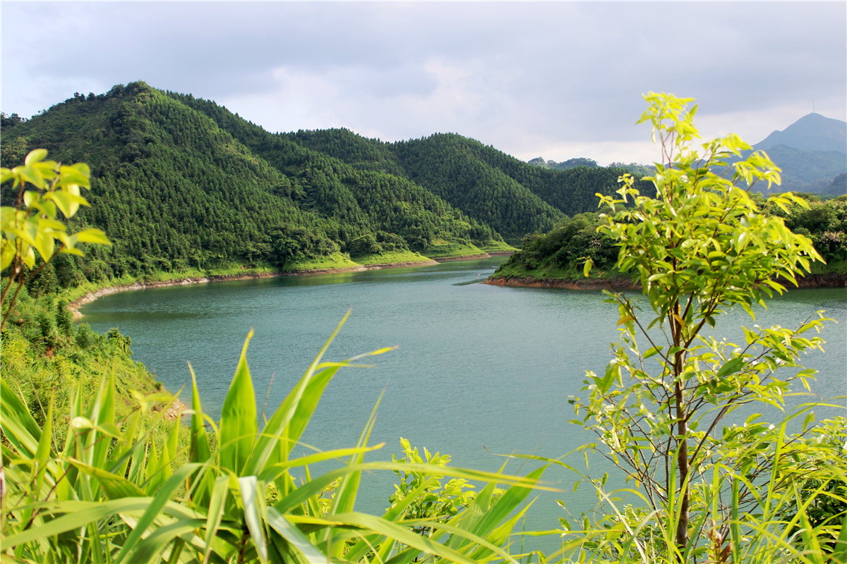 广东阳春市花滩森林公园