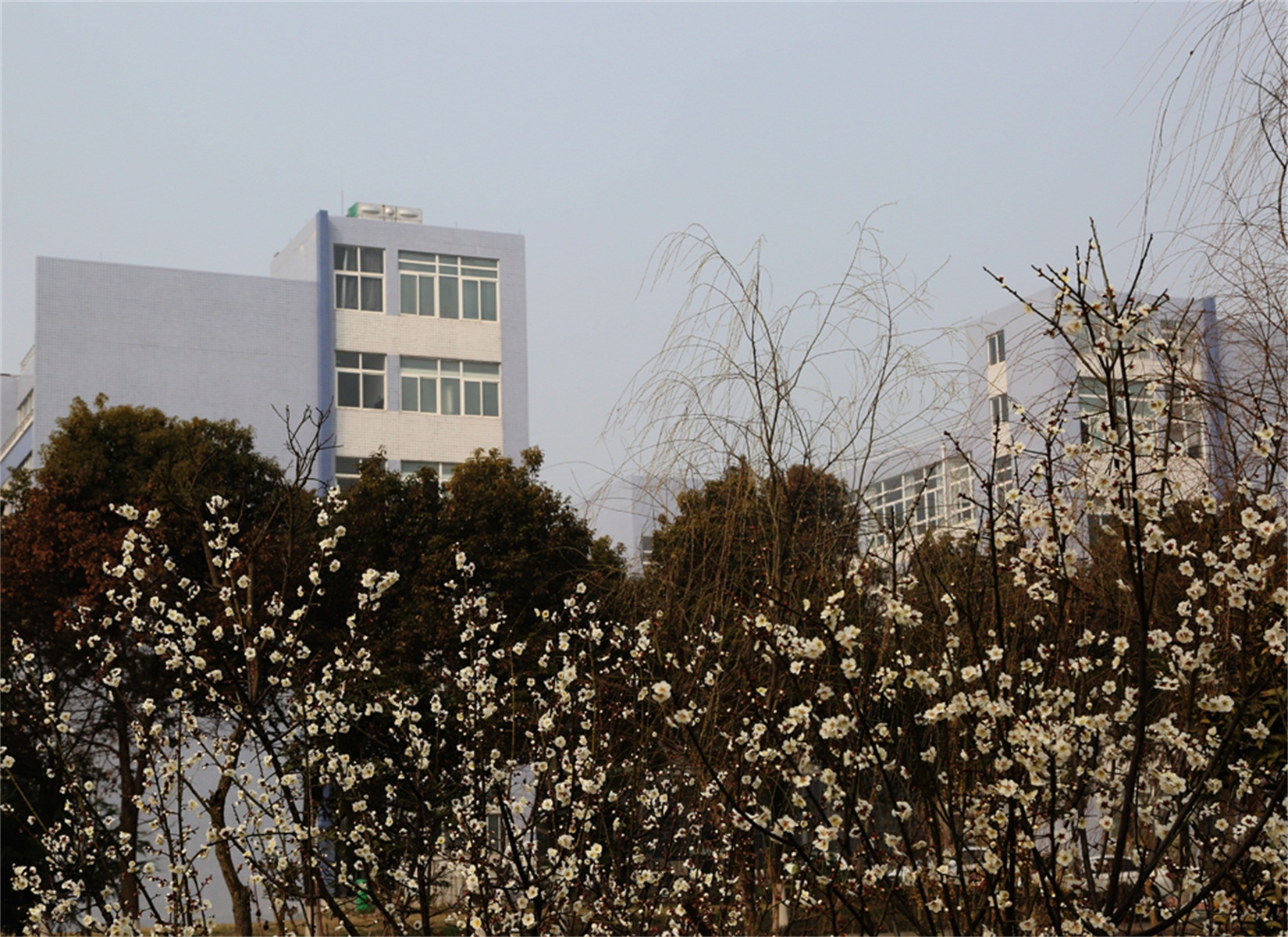 安徽蚌埠学院
