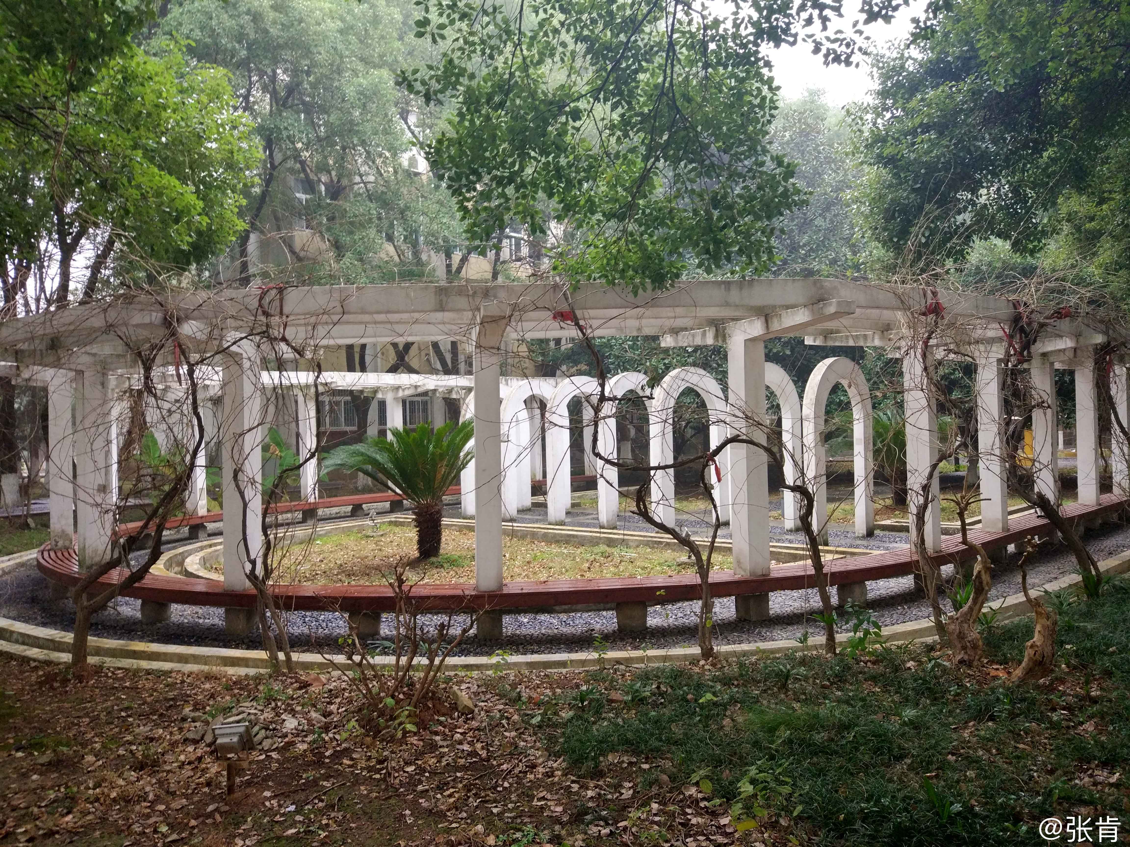 武汉纺织大学