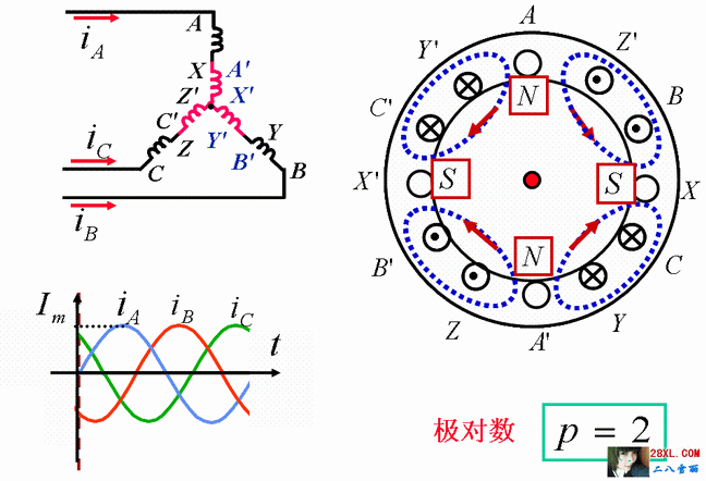 电机极对数