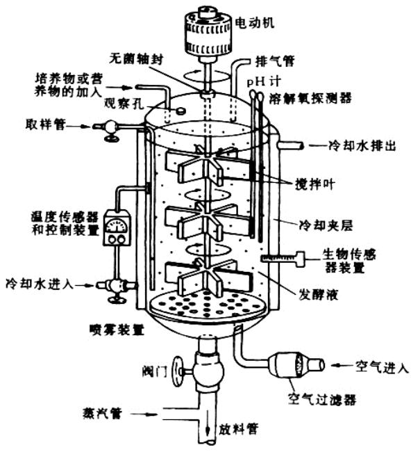 通气式机械搅拌发酵罐