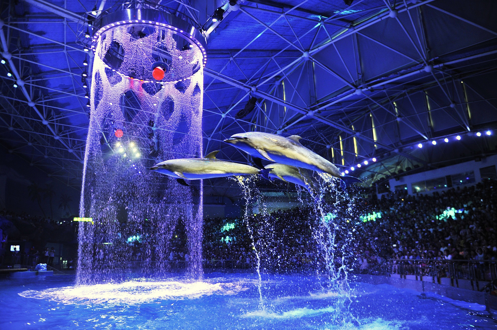 海昌cec·成都极地海洋世界