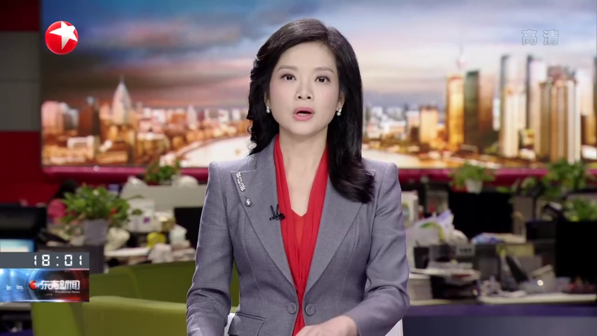 现任东方卫视《东方新闻》,《双城记》《今晚》主播.