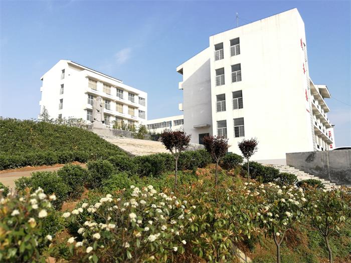 嵩山少林武术职业学院