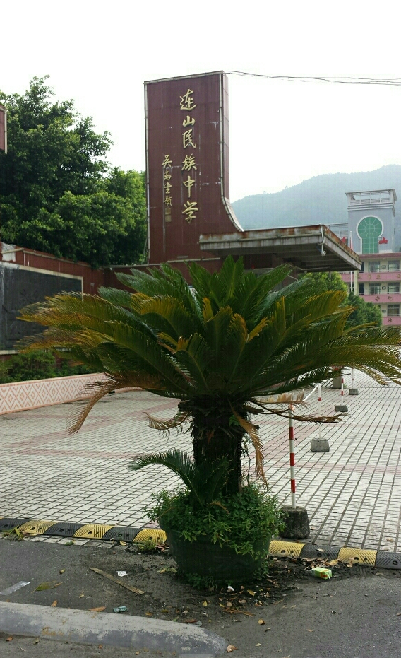 连山县民族中学