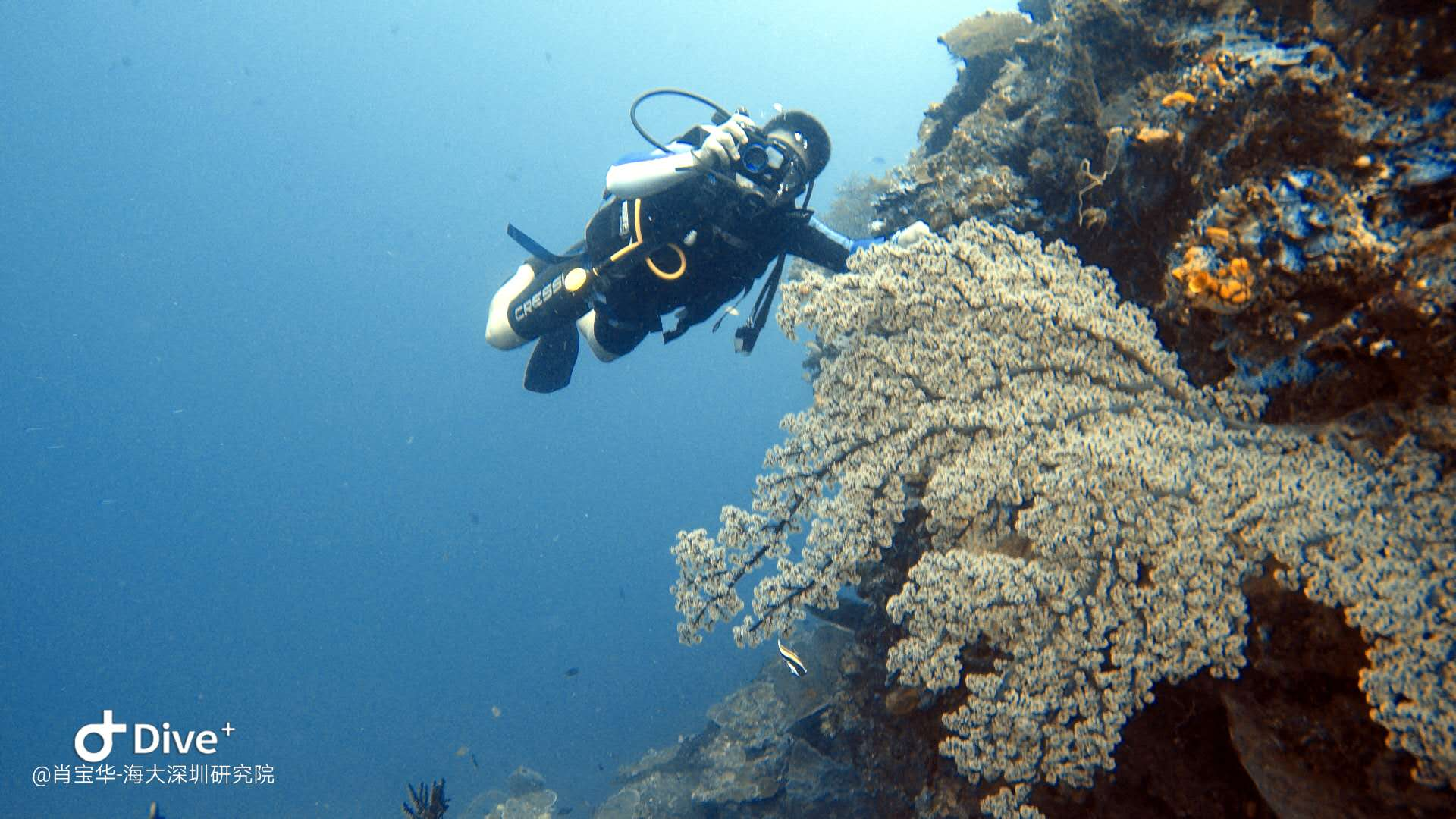  p data-id="gn3ahe99xa">肖宝华,海洋专业正高级工程师,广东海洋大学