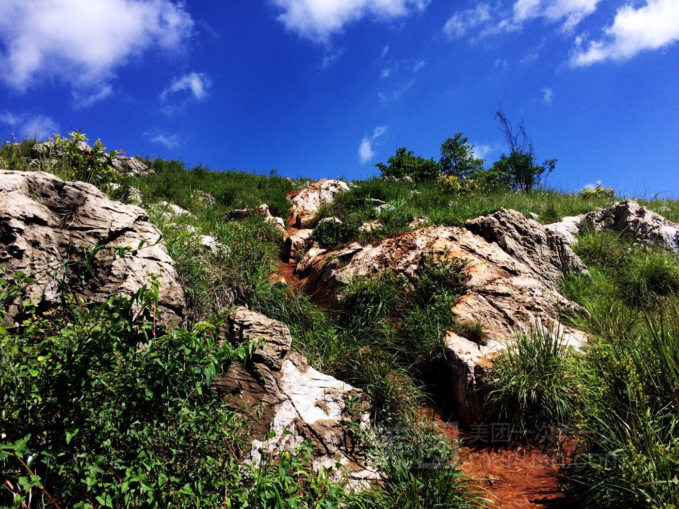 长虫山生态公园