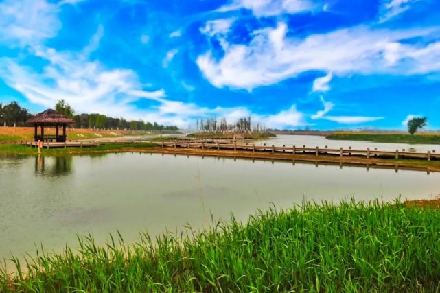  p data-id="go0854ykzl">石龙湖位于 a target