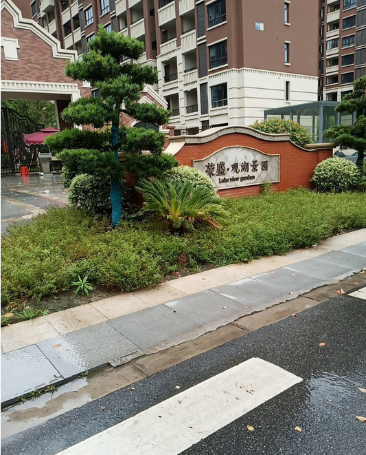 荣盛观湖景园