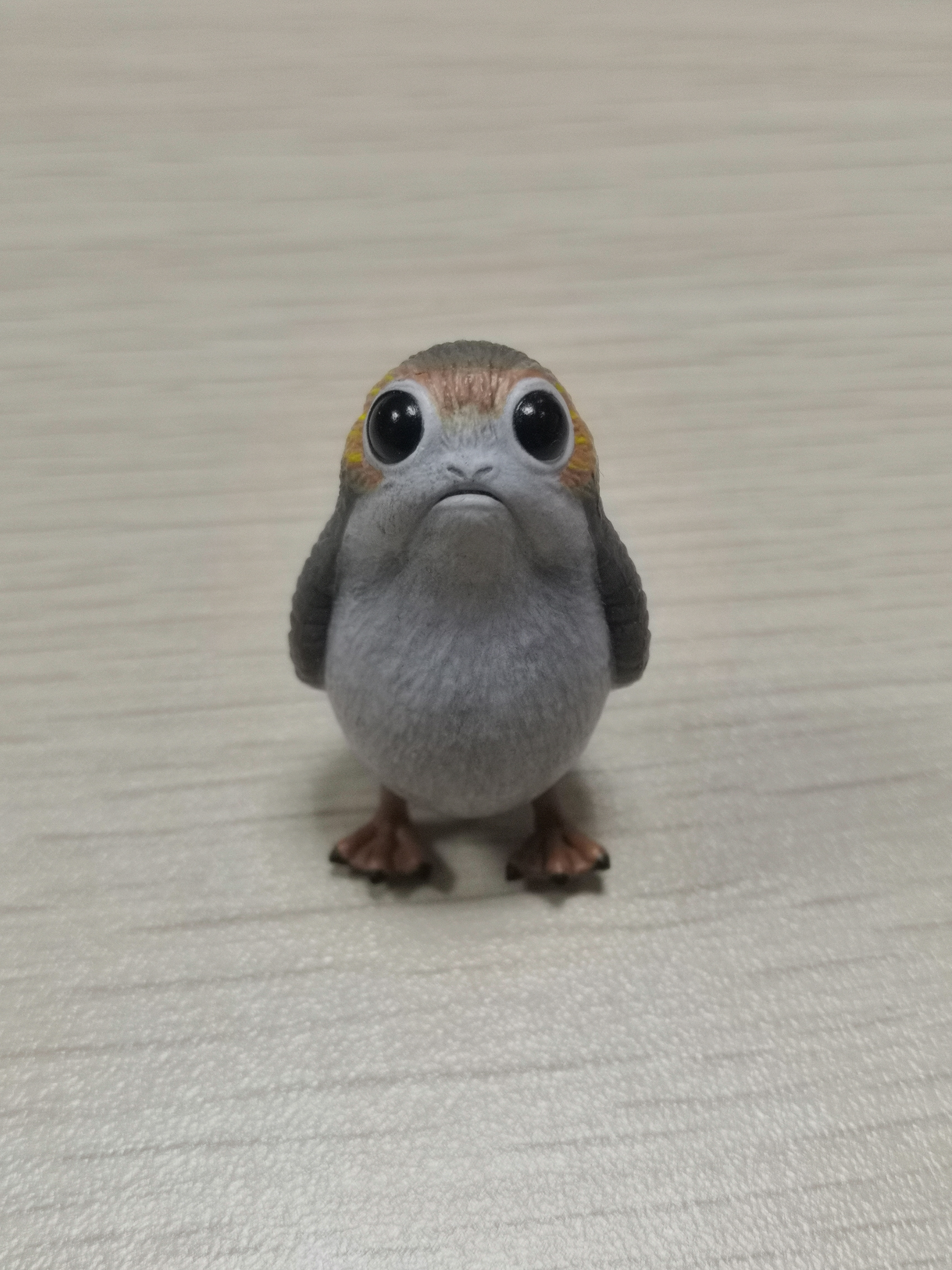 porg鸟