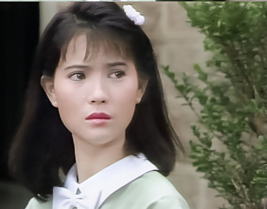  p>蓝洁瑛(1963年4月27日—2018年10月31日),出生于香港,中国香港影视
