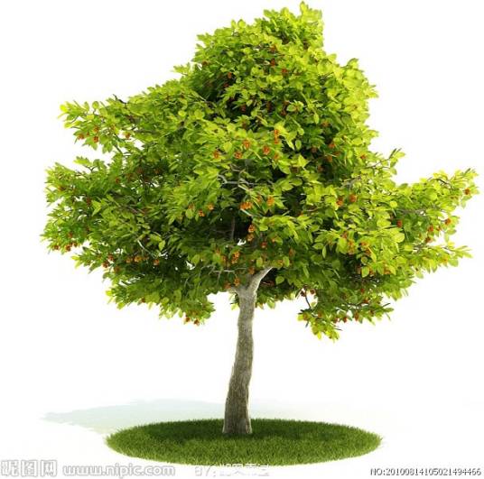 树木资源_百度百科