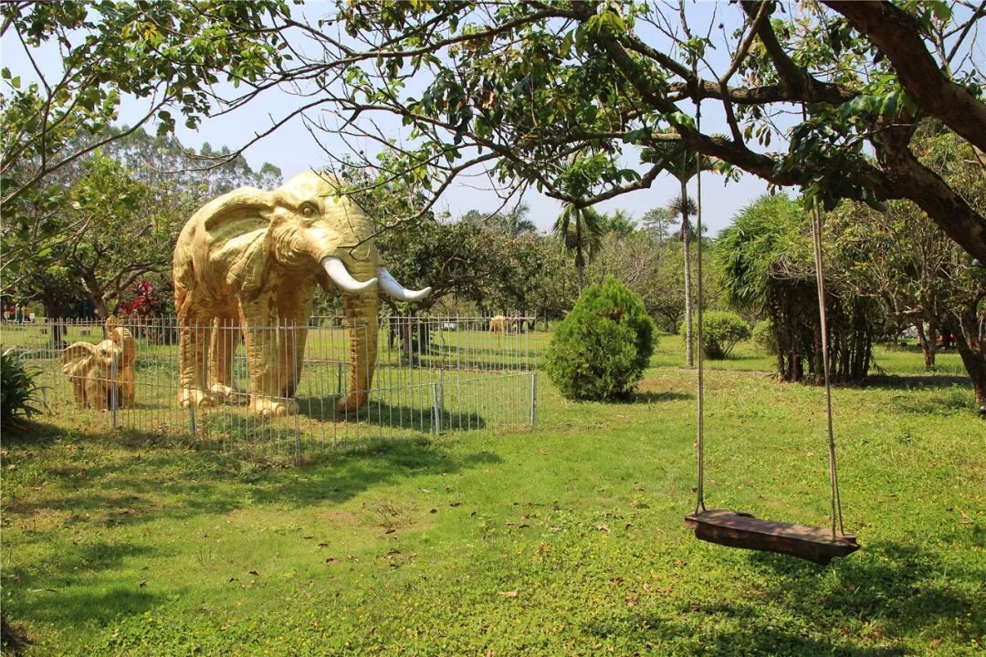  p>大南山华侨管理区位于粤东沿海,地处广东省揭阳市惠来县腹地,全区