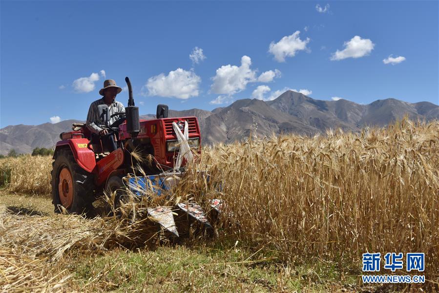西藏自治区日喀则市江孜县辖乡,辖香普村,卡热村,努堆村等7个行政