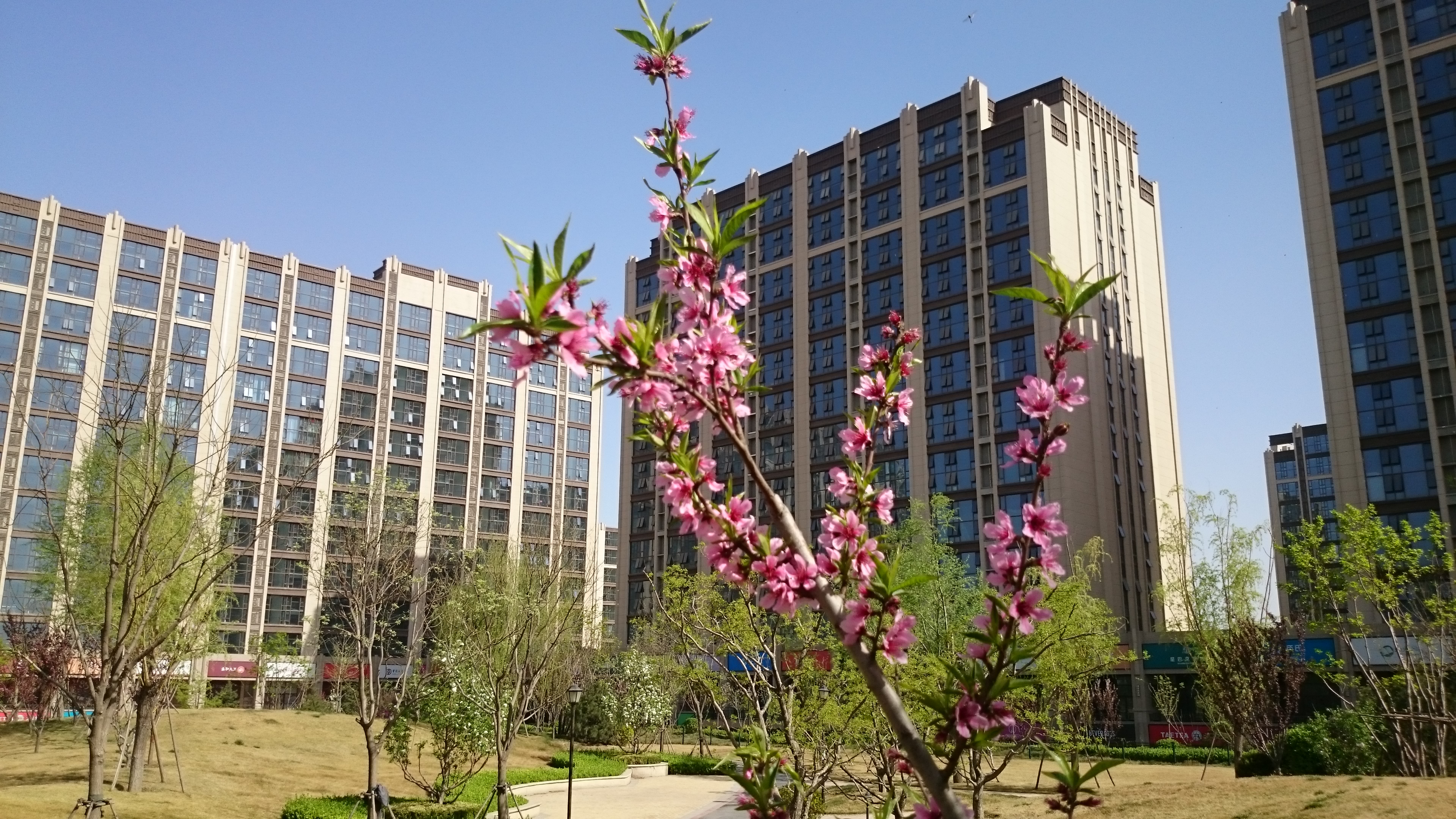 珠江四季悦城