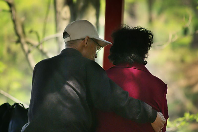  p>老年恋又称夕阳恋,是 a target="_blank" href="/item/左河水">左