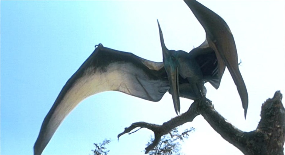  p>无齿翼龙是种会飞的爬行动物,是 a href="#" data-lemmaid="