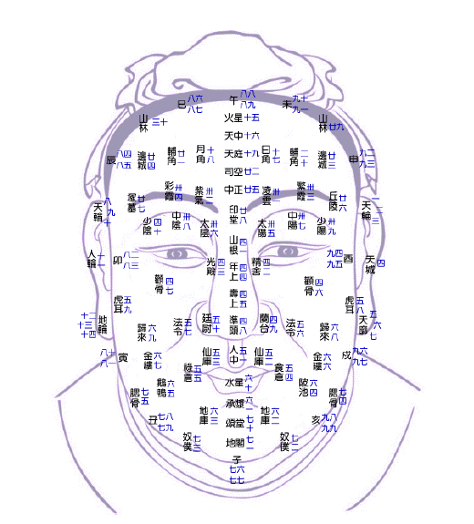 各部位由上至下分别为天中,天庭,司空,中正,印堂,山根