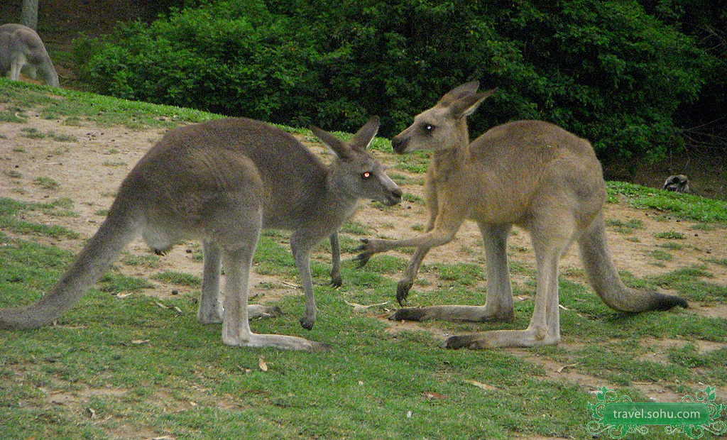 the independent state of papua new guinea),简称巴布亚新几内亚