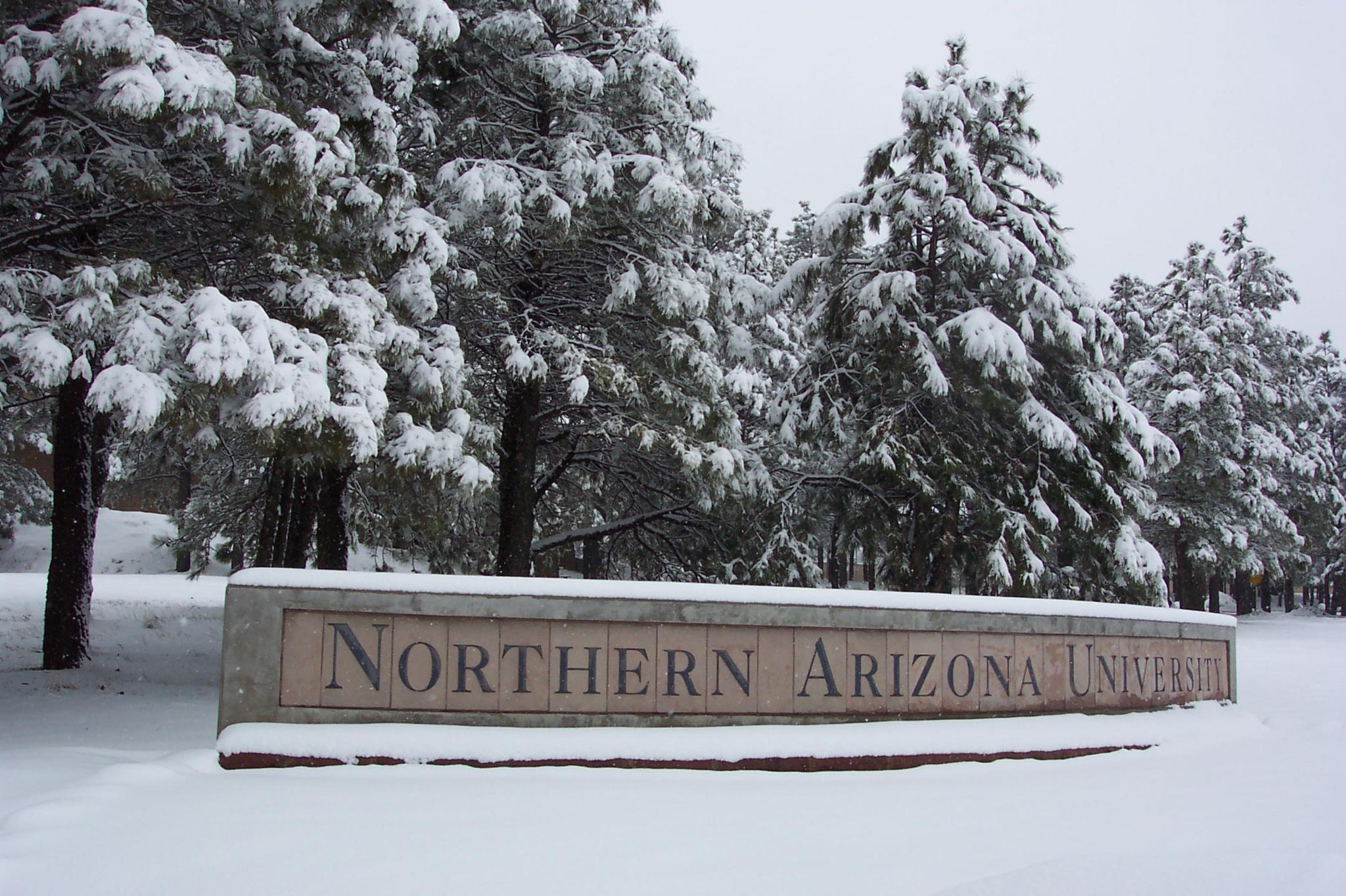  p>北亚利桑那大学(northern arizona university),简称北亚(nau)