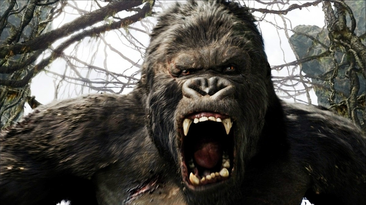 《金刚》是2005年上映的一部冒险电影,重拍1933年经典同名电影《金刚