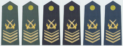 陆海空军一级军士长军衔肩章(2009—)