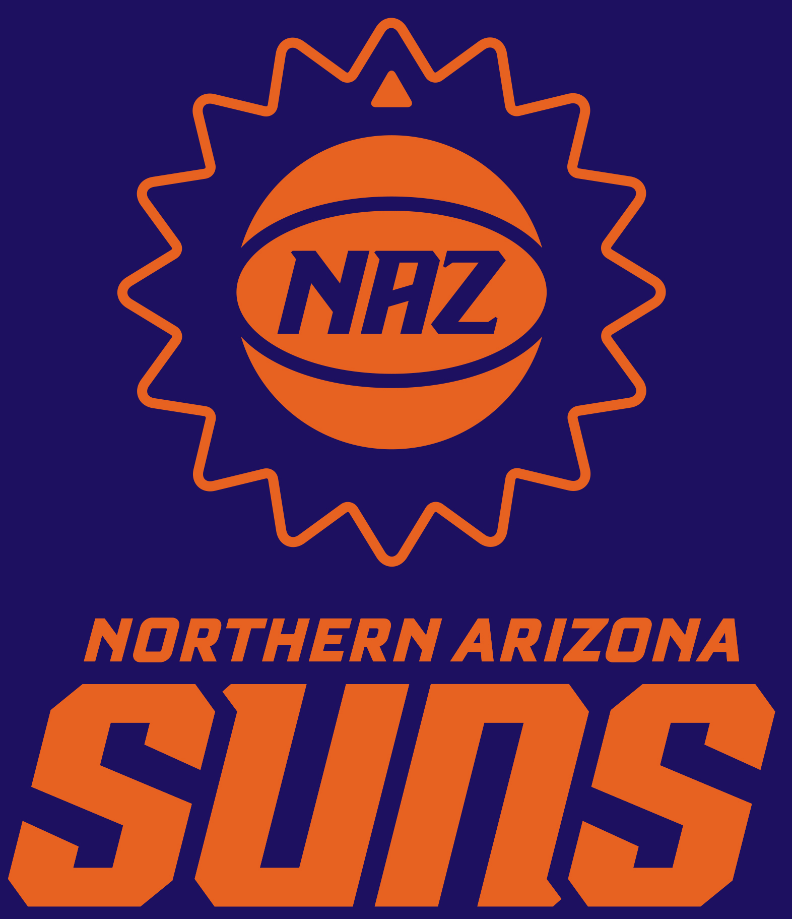 北亚利桑那太阳队