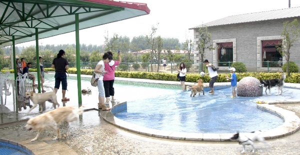 北京宠物公园