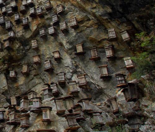 即人死后,亲属殓遗体入棺,将木棺悬置于插入悬崖绝壁的木桩上,或置于