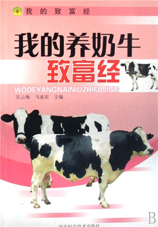 致富经2009年(致富经2009年做豆腐的最新进展)