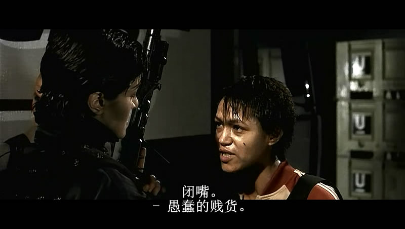 猎豹行动niddeguêpes(2002)