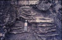  p>差异风化又称差别风化,选择风化,是指在地面出露的,同时存在的抗