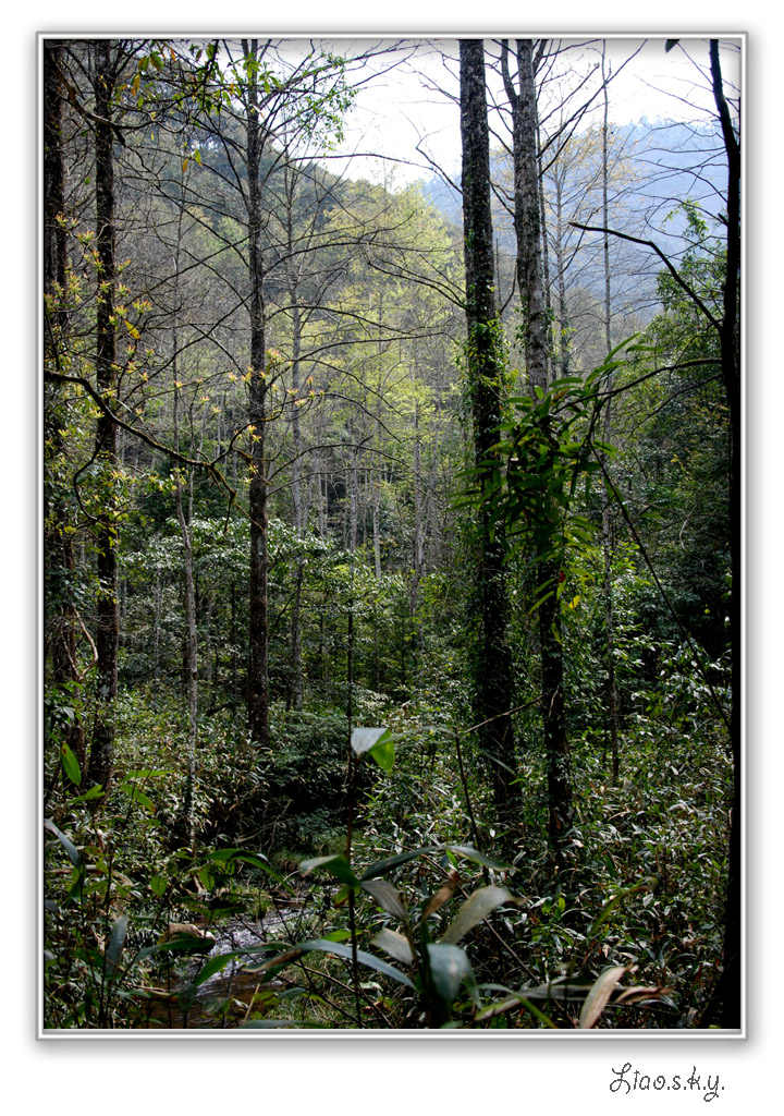  p data-id="gnhdqbixt9"> a target="_blank" href="/item/九连山脉