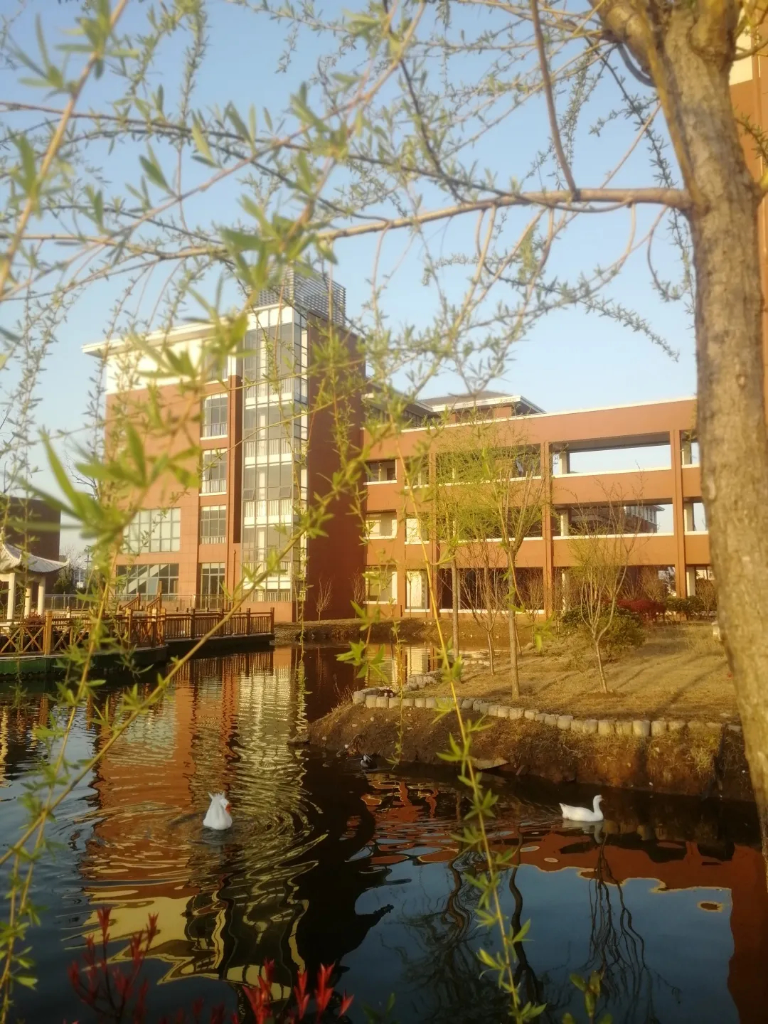 如皋市长江高级中学