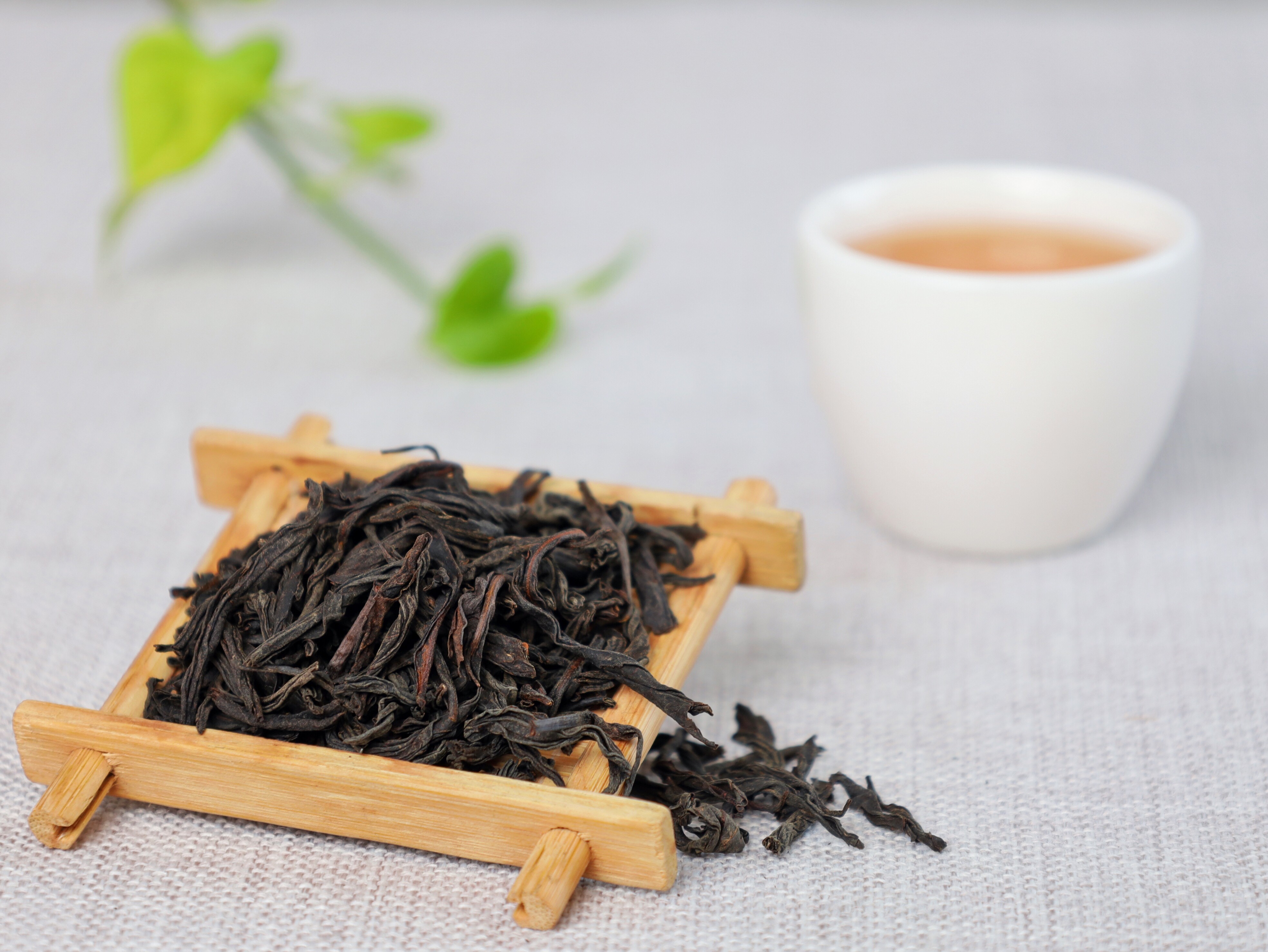 坦洋工夫茶