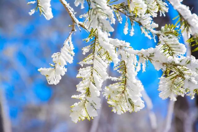 古人对雪的24种雅称，美到窒息_百科TA说