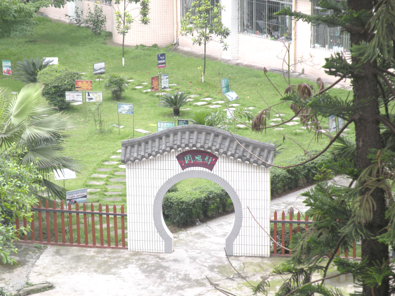 四川省泸县第一中学