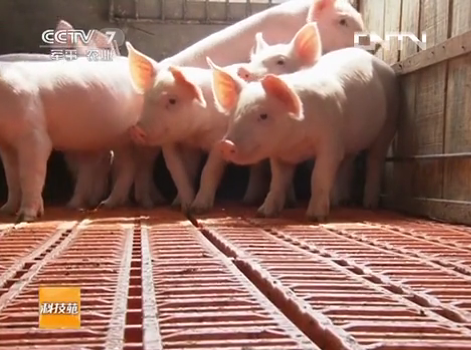  p data-id="gnbzgne6he">《科技苑》是原cctv7军事农业频道开办最早