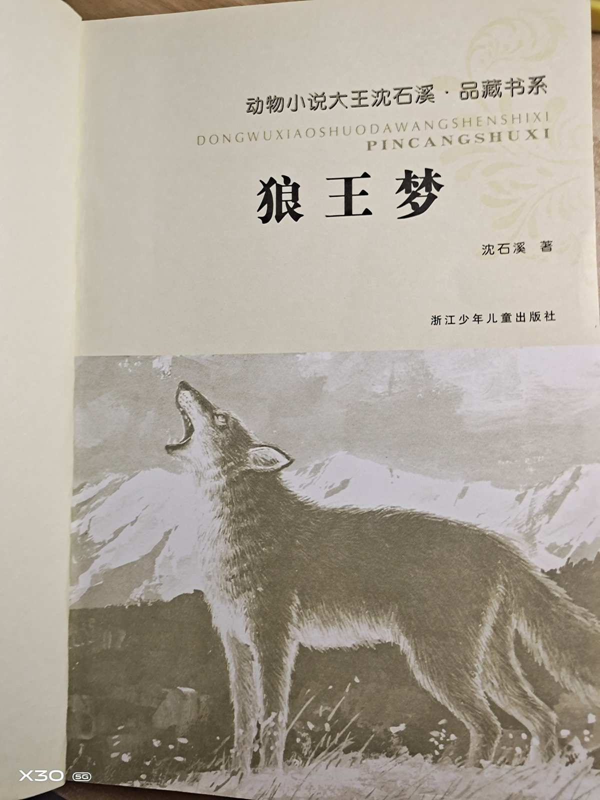 狼王梦