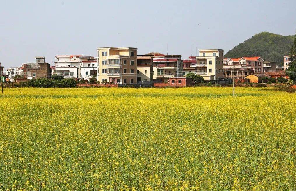 ">沙田镇,隶属于广东省 a target="_blank" href="/item/茂名/907062"