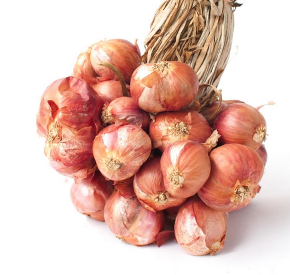 分蘖洋葱
