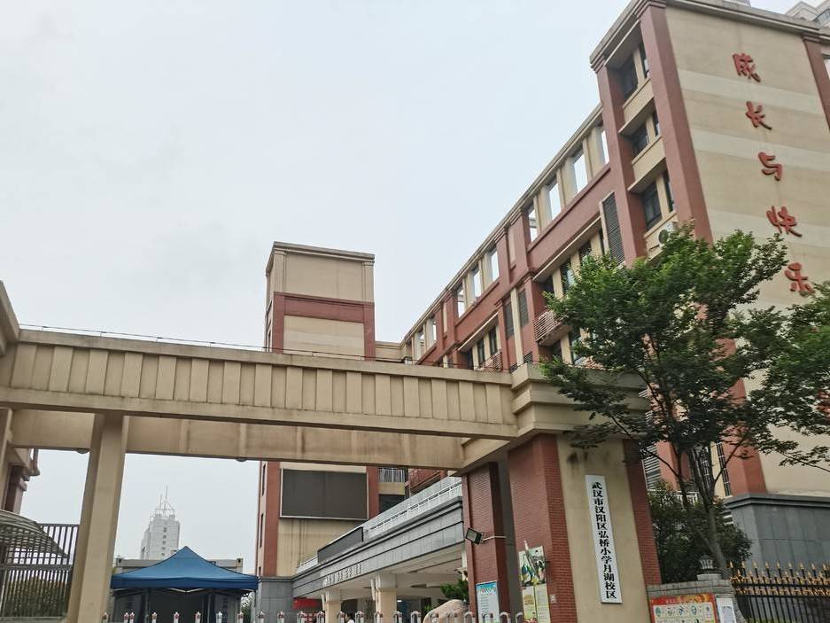 湖北省武汉市汉阳区弘桥小学内发生一起交通事故,一名一年级学生被