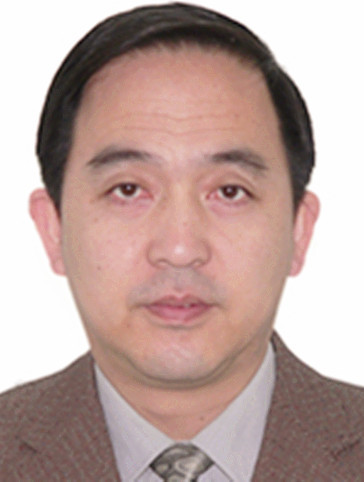 王龙