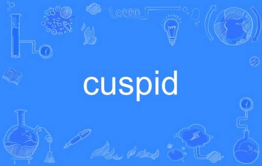 cuspid_百度百科
