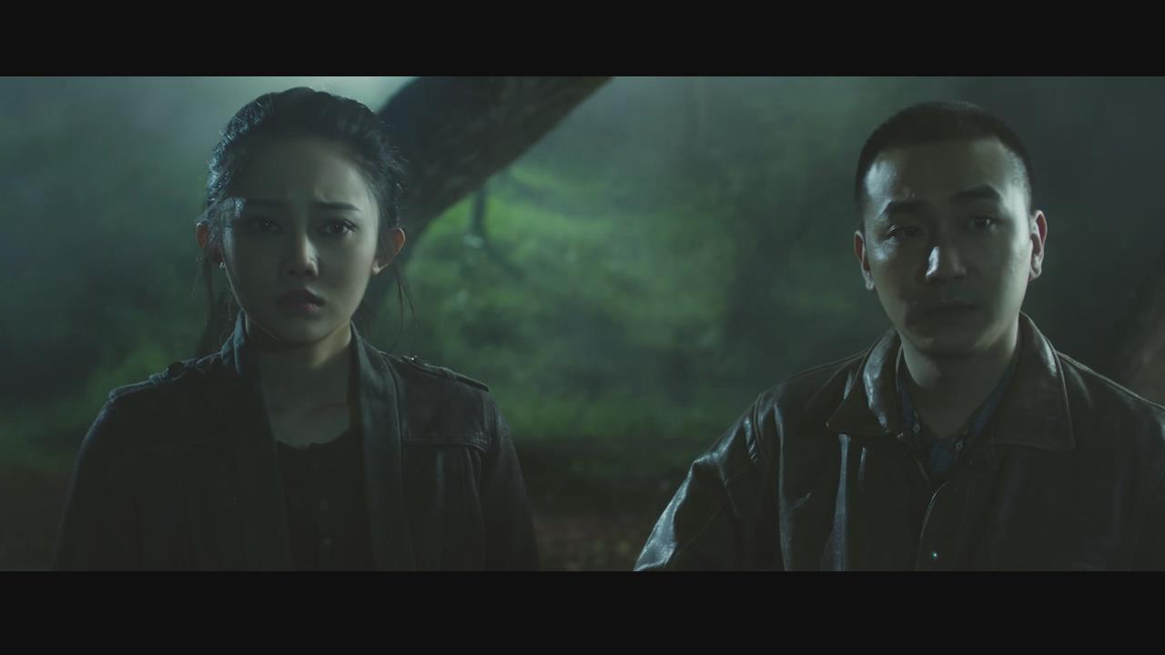 龙棺古墓2亡灵之花