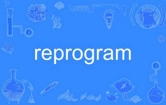 reprogram_百度百科